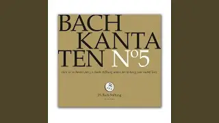 BWV 191 - Gloria in excelsis Deo: Chor - Gloria in excelsis Deo