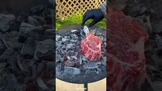 Ever cooked Steak on the Coals? | Over The Fire Cooking by Derek Wolf