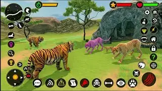Tiger hunting all the animal like elephant giraffe and hareen game video and fight with other tiger 