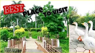 Best tourist place to visit🔥| Rani-talab Rewa | little animals🐤 | #touristplace #viralvideo