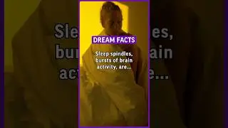 Sleep spindles, bursts of brain activity, are associated with memory consolidation during&hellip; #dream