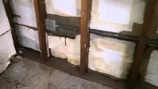 Basement Black Mold Removal Before and After Naperville, IL
