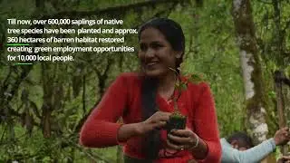 REFORESTING RED PANDA HABIAT