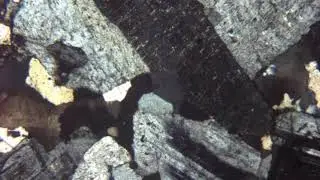 Granodiorite au microscope polarisant (LPA)