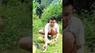 Mangawat mi ug buko ay diay manguha Ra diay w/tips o edea