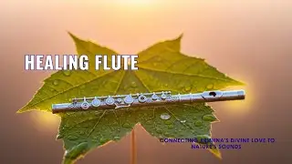 Healing flute improvisation: connecting Krishna's divine love to nature's sounds | Raag Malkauns