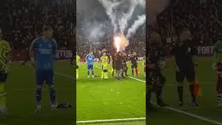 Behind the Scenes: Being the Arsenal Mascot at London Stadium