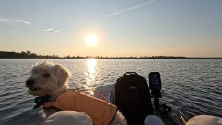 Catching Slab Sunfish in Summer Heat - Kayak Fishing with a Yorkipoo