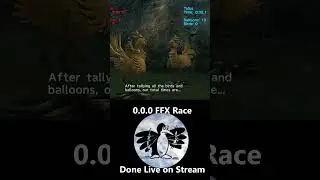 FFX Chocobo Race Under 0 Seconds