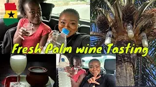 Tasting fresh palm wine for the first time|| Drinking alcohol for the first time in my life in Ghana