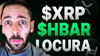Ripple Anuncia Inversi&oacute;n BRUTAL de 500 Millones y Hedera Tokeniza su propio ETF!