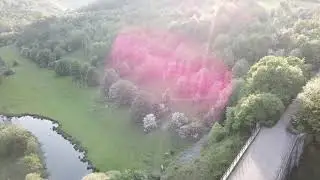 Monsal Head Aerial