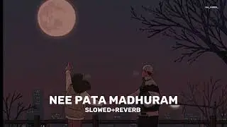 Nee Pata madhuram [ slowed+reverb ] | Dhanush | Sruthi hasan | Anirudh | #slowed