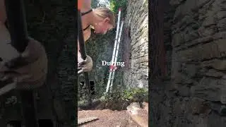 Tackling the garden of our Italian house