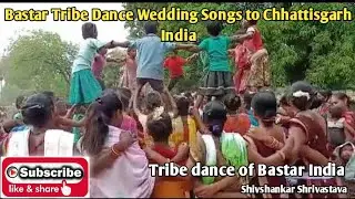 बस्तर आदिवासी नृत्य विवाह गीत | 🔥 Bastar Tribe Dance Wedding Songs