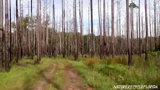 Lower Suwannee National Wildlife Refuge