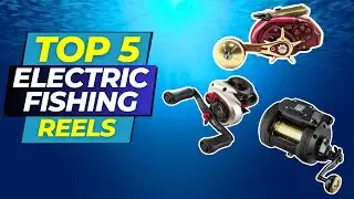 Top 5 Electric Fishing Reels in 2024