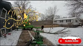 {Merlo Job} Removing one big rotting oak