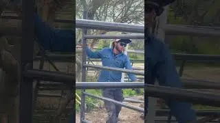 We love our pipe fence! Nothing but high standards! #horse #welding #pipefence #equestrian