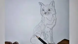 Easy Animal FOX Drawing for kids and Beginners - Fox Drawing Easy Step by Step