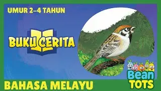 Burung Pipit Ajak Kawannya Bermain Tapi.... | Belajar Nama Haiwan Bersama Bean Tots | malay stories
