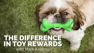The Difference in Toy Rewards
