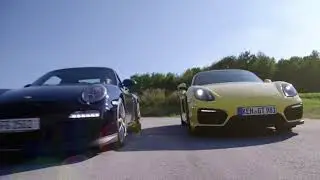 Gato Audio - The Race