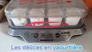 #yaourt et autres #délices fait #maison 😋🥛🍮🧁