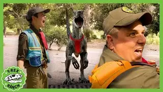 Way Out In Raptor Outback! | 🦖🦕 T-Rex Ranch Dinosaur Videos