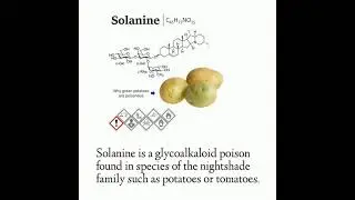 Why green potatoes are poisonous.