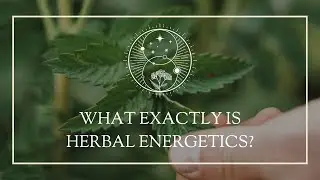 What Exactly is Herbal Energetics?