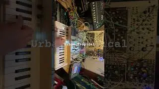 Urban Tropical #modularsynth #eurorack #keystep #volcafm #korg  #tropical #jazz #beats