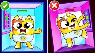 Don't Jump in Elevators | Safety Mall Tips | Funny Kids Songs & Nursery Rhymes by Baby Ringo