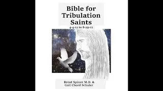 Brent Spiner/Stalker Loree McBride: Bible for Trib Saints (4-4-12 to 8-29-12) SAMPLE