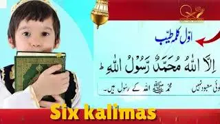 Online Quran Academy... good opportunity to link with Quran All courses...