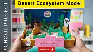 Desert Ecosystem Model /School Project Work  /Science Project/How to & Style