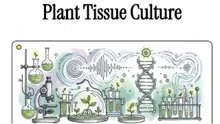 Cell Culture: What It Is Plant Tissue Culture and How It Works?