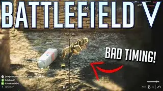 Bugs and badly timed moments in Battlefield 5