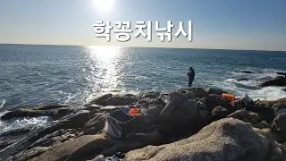 기장권갯바위(아직 너울파도-겁나추움)👉학꽁치낚시👈#학꽁치 #fishing