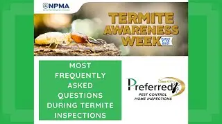 Most Frequently Asked Questions During Termite Inspections