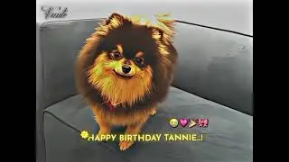 Happy birthday tannie