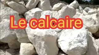 Une roche : Le calcaire