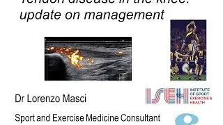 Tendon disease in the knee - update