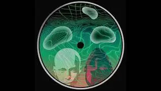 ///earth/// - berlin 2002