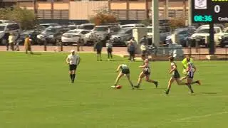2019 SGL Seniors Grand Final