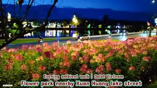 15' sunset ambient walk : flower park nearby grand lake road, Dalat Vietnam