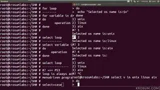 Shell Script looping statement - select loop