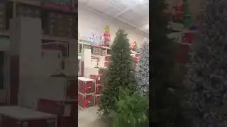 Hurry to Home Depot￼￼ get your Christmas tree/outside lights & blowups. Everything is going FAST!