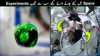 Top 6 Most Weird and Amazing Space Experiments - MalomatKLiye