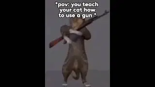 pov: you give your cat a gun #memes #catvideos #shorts #youtubememes #tiktok #capcut